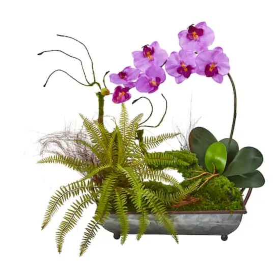 20" Phalaenopsis Orchid & Fern Arrangement in Metal Tray Mauve {1}