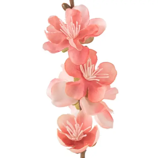 Peach Blossom Stem by Ashland&reg; Coral {4}