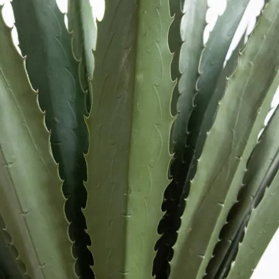 6ft. Potted UV Resistant Giant Agave Plant {7}
