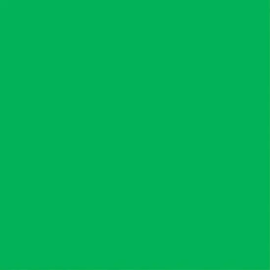 Core'dinations&reg; Core Foundations 12" x 12" Cardstock, 25 Sheets Primary Green {1}