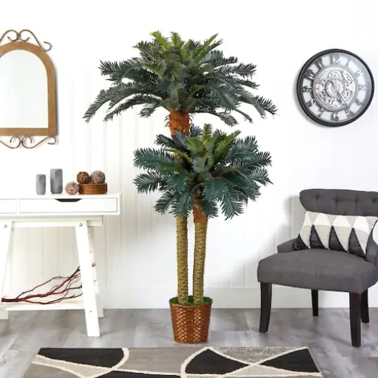 6ft. Sago Palm Double Tree in Wicker Basket Pot {5}