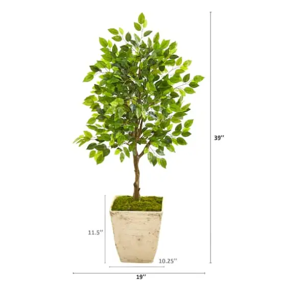 3.3ft. Ficus Artificial Tree in Country White Planter {3}