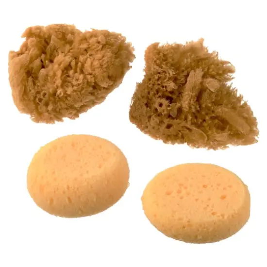 Royal & Langnickel&reg; Natural & Synth Sponge Pack {1}