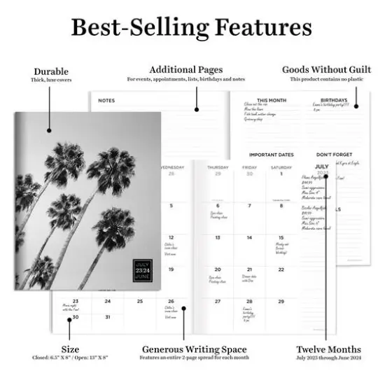 TF Publishing 2023-2024 Palms Medium Monthly Planner {6}