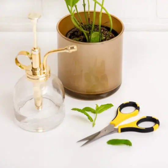 American Crafts&trade; Cutter Bee&trade; Herb Scissors {6}