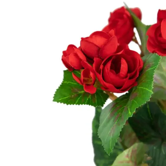 11" Red Potted Silk Begonia Floral Arrangement {5}
