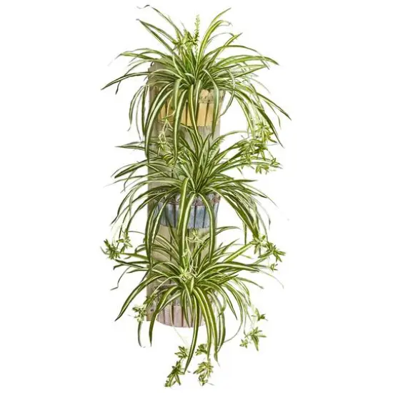3.5ft. Spider Plant in Three-Tiered Wall Planter {1}