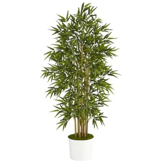 5.3ft. Bamboo Tree in White Tin Planter {1}