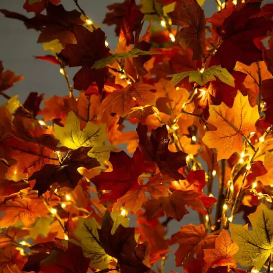 6ft. Pre-Lit Shades of Autumn Maple Artificial Fall Tree with 360 Warm White LED Lights {5}