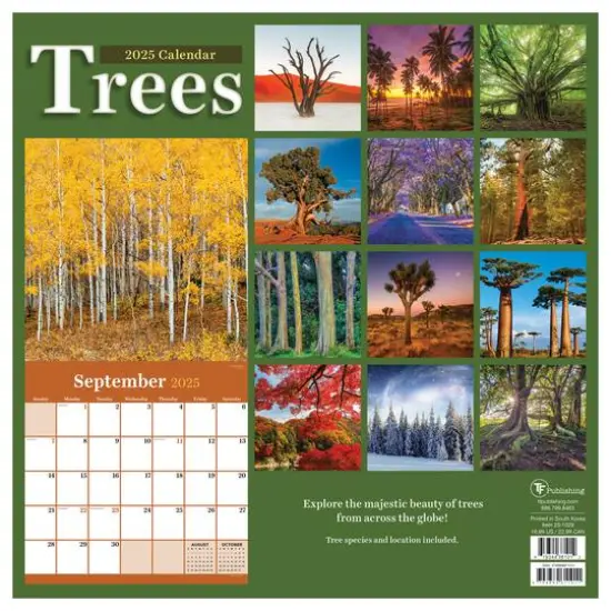 TF Publishing 2025 Trees Wall Calendar {3}