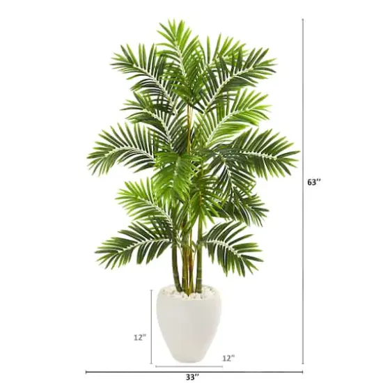5ft. Areca Palm Tree in White Planter {3}