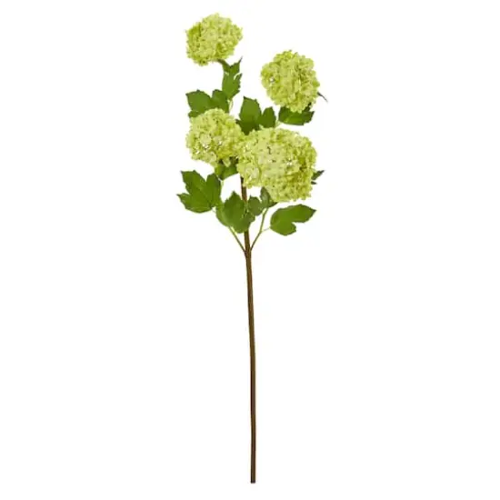 Green Snowball Hydrangea Stem, 3ct. {1}