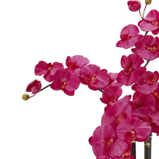 2.5ft. Pink Moth Orchid Arrangement with Decorative Vase {5}