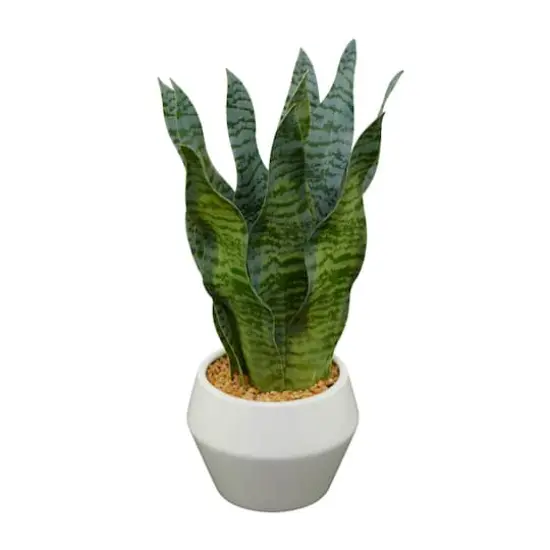 15" Green Snake Faux Foliage Artificial Plant with White Porcelain Pot {5}