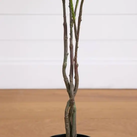 4ft. Pink Rose Tree in Black Pot {7}