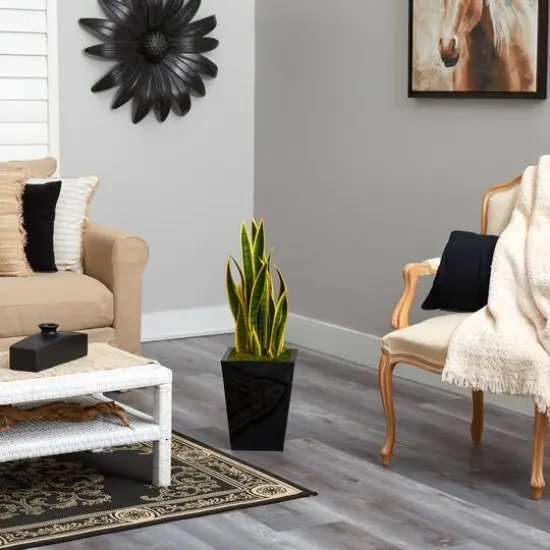 2.5ft. Snake Plant in Black Metal Planter {5}