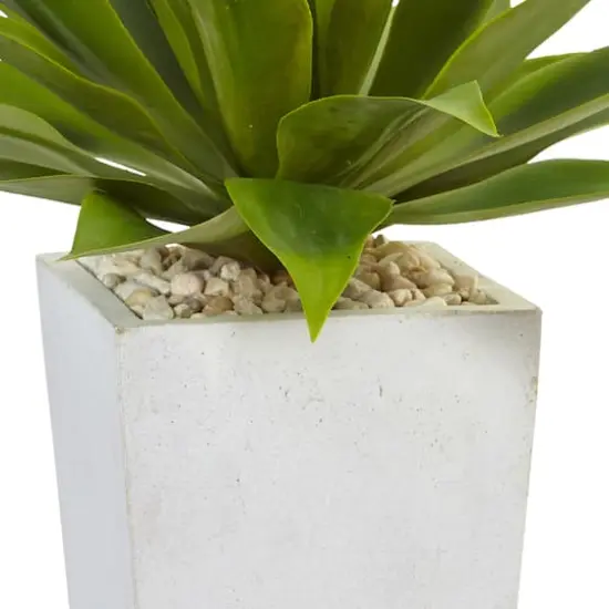 2ft. Agave In White Planter {4}