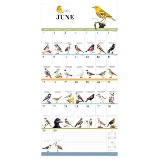 TF Publishing 2025 Birds: Backyard & Beyond Wall Calendar {5}