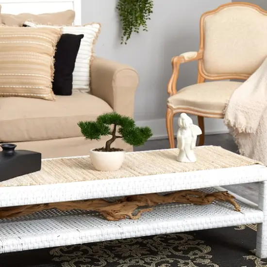 10" Cedar Bonsai Tree in White Planter {5}