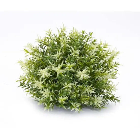 Variegated Mini Leaf Half Orbs, 6ct. {5}