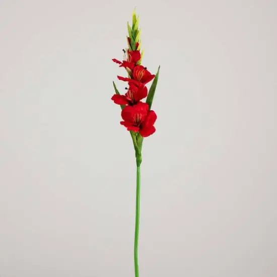 45" Red Gladiolus Flower Stems, 3ct. {7}