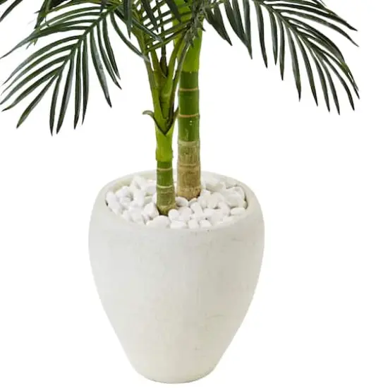 4.5ft. Golden Cane Palm Tree in White Oval Planter {4}