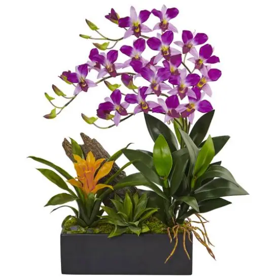 23.5" Purple Pigeon Orchid & Bromeliad Arrangement in Black Rectangle Planter {1}