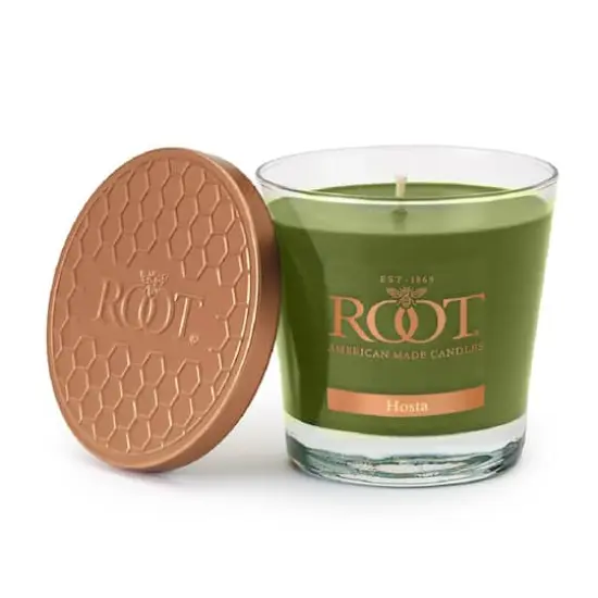 Root Candles 6.3oz. Small Scented Honeycomb Veriglass Jar Candle Hosta {1}