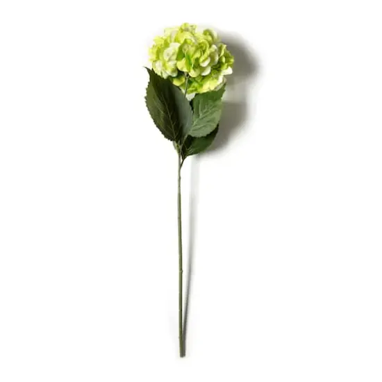 Garden Blooms Hydrangea Stem by Ashland&reg; Green {5}