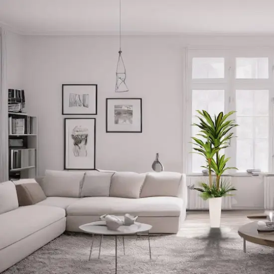 6ft. Artificial Dracaena Fragrans Tree in White Decorative Pot {4}