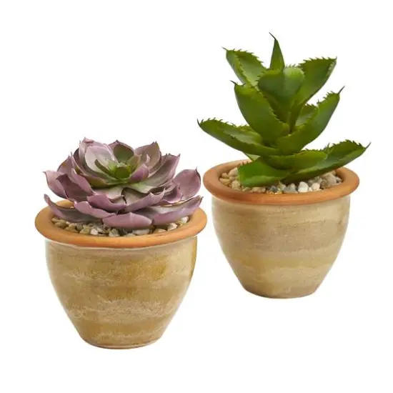 12" Purple & Green Succulents in Ceramic Vases, 2ct. {1}