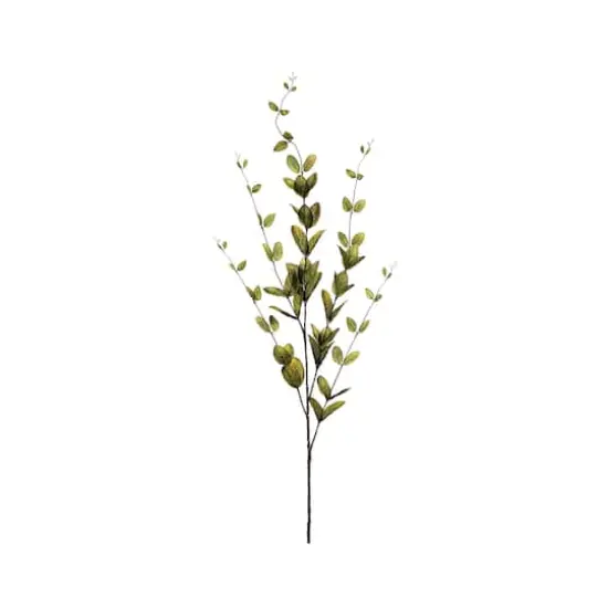 Lonicera Leaf Spray {1}