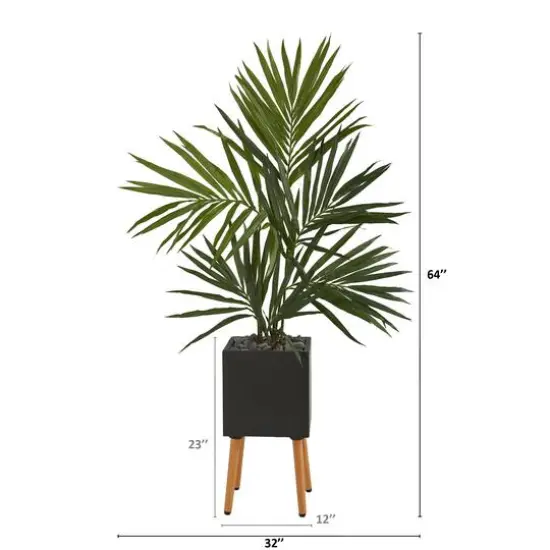 5.5ft. Kentia Palm Tree in Black Planter with Stand {3}