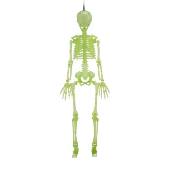 3ft. Glow-in-the-Dark Skeleton by Ashland&reg; {3}
