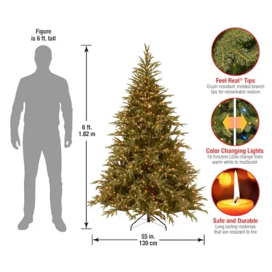 6ft. Pre-Lit Frasier Grande Artificial Christmas Tree, Dual Color&reg; LED Lights {6}