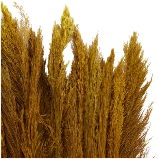 Dried Plant Bamboo Natural Foliage with Long Stems Yellow {5}