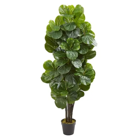 5ft. Potted Fiddle Leaf Fig Tree {1}