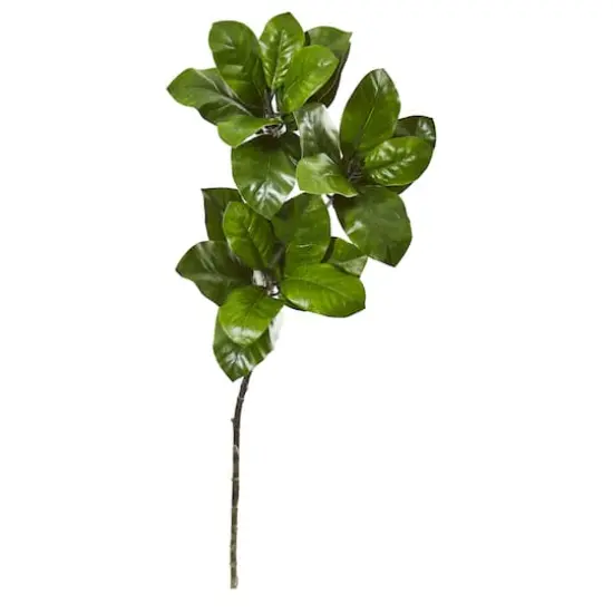 3ft. Magnolia Leaf Spray Plant, 3ct. {1}