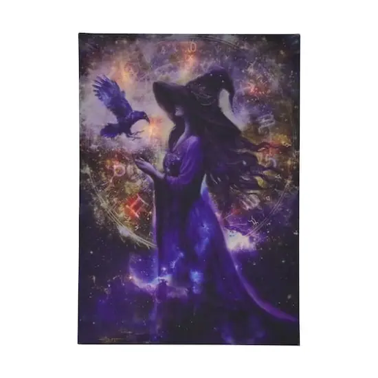 17" x 23.5" Witch LED Wall D&eacute;cor by Ashland&reg; {1}