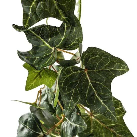 6ft. Green English Ivy Garland by Ashland&reg; {5}