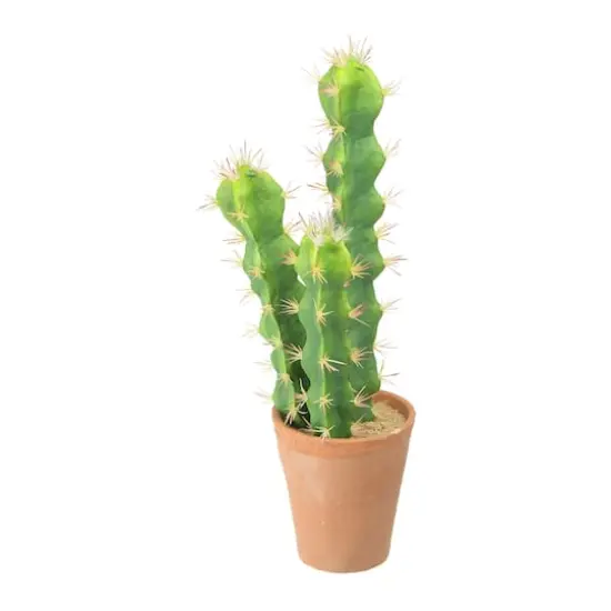 Hello Honey&reg; 18" Cereus Cactus in Terra Cotta Colored Pot {4}