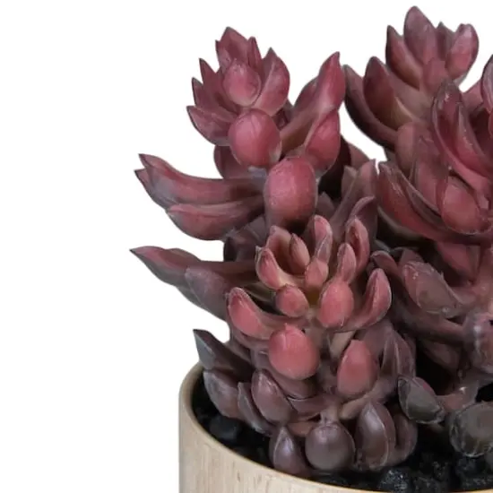 7" Purple Succulent in Faux Wood Pot {5}