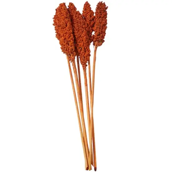 Dried Corn Maize Natural Foliage with Long Stems Orange {5}