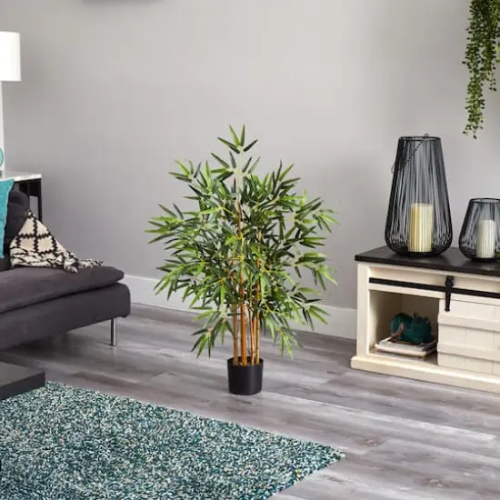 3ft. Potted Bambusa Bamboo Tree {7}