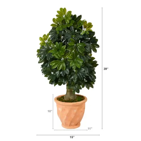 3.5ft. Umbrella Tree in Terra Cotta Planter {3}