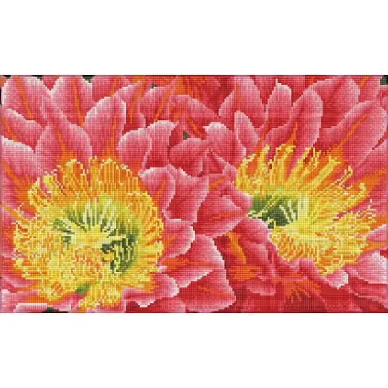Diamond Dotz® Intermediate Desert Blooms Pre-Framed Diamond Painting Kit {1}