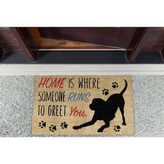 DII&reg; Home Dog Doormat {3}