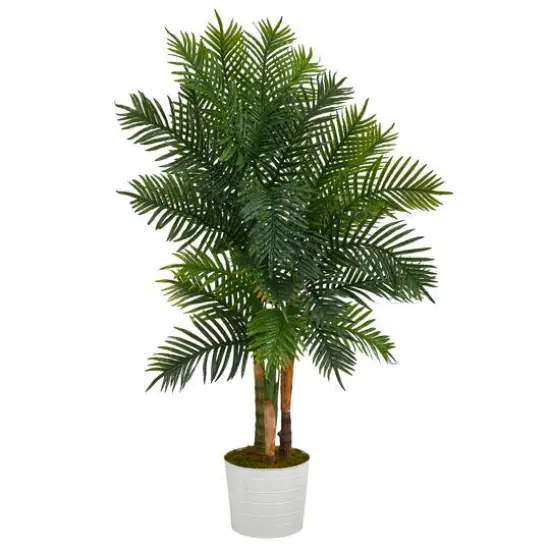 5ft. Areca Palm Tree in White Tin Planter {1}