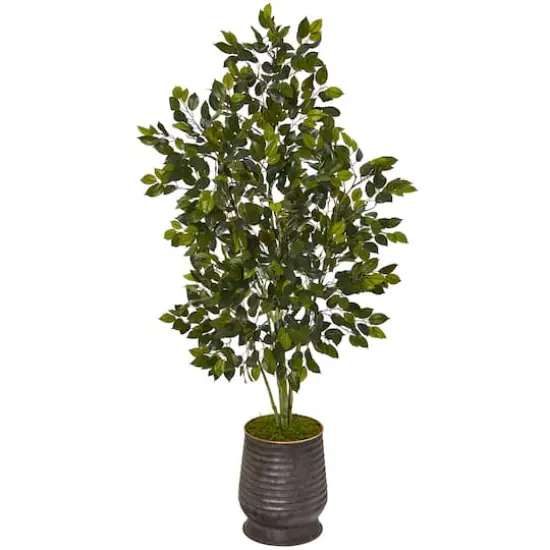 4.5ft. Ficus Tree in Ribbed Metal Planter {1}