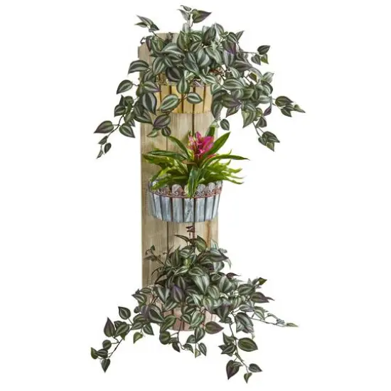 3.5ft. Bromeliad & Inchplant in Three-Tiered Wall Planter {1}